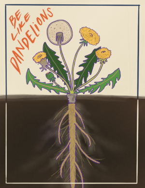 dandelion dandelion